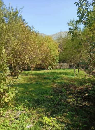 купить недвижимость в баку: 10 соток, Для бизнеса, Возможен обмен, Купчая — 1