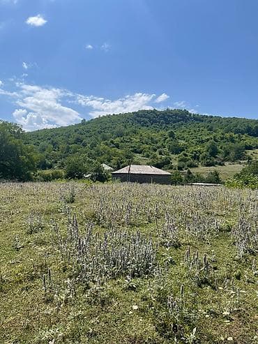 goradilde torpaq: 12 sot, Tikinti, Mülkiyyətçi, Kupça (Çıxarış), Bələdiyyə, Texniki pasport — 9