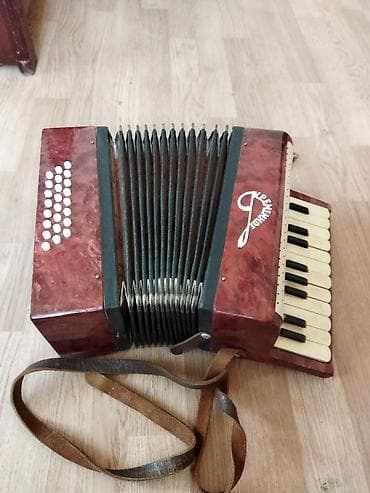 akustik gitar: Akustik Akkordeon — 1