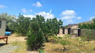 elmler ev: Novxanı, 130 kv. m, 3 otaqlı, Hovuzsuz, İnternet, Telefon, İşıq — 3