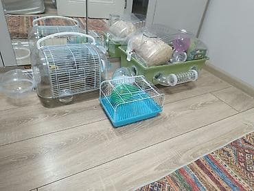 it evi satilir: Siçan/hamster üçün komplekt qəfəs sistemi - Modul tipli hamster evi — 1
