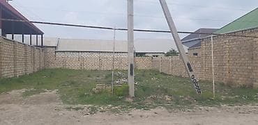Tikinti