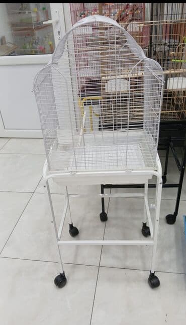 xamyak qefesi: Her novde her qiymete qefeslermiz var catrilma var metrolara rayolara — 10