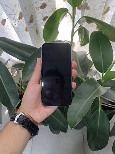 ipon: IPhone 15 Pro, 256 GB, Natural Titanium, Face ID — 2