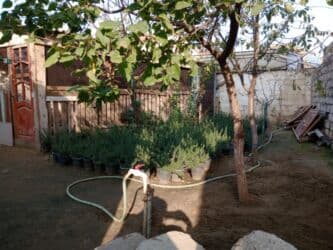 bakida saatliq evler: Balaxanı qəs. 4 otaqlı, 200 kv. m, Kredit yoxdur, Orta təmir — 6