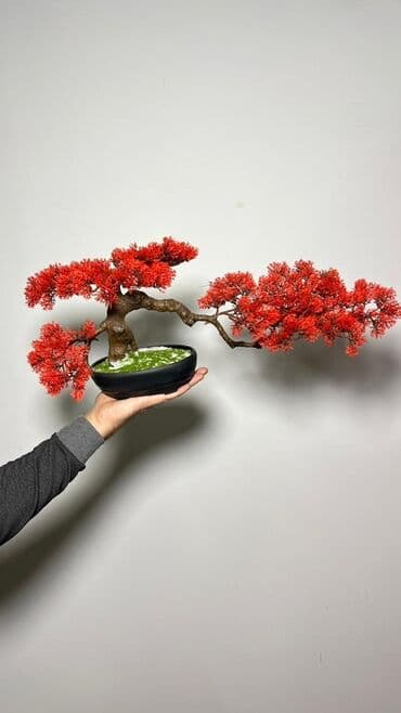 budda: Süni bonsai ağacı – dekorativ içməkan yaşıllaşdırma üçün - Realistik — 12