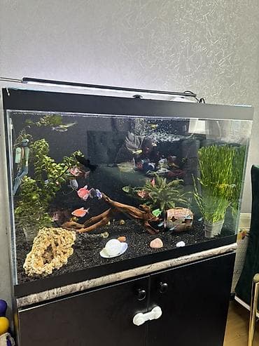 akvarium 90x40x50: Akvarium-şkaf, Balıqlarla birlikdə, 126 l — 3
