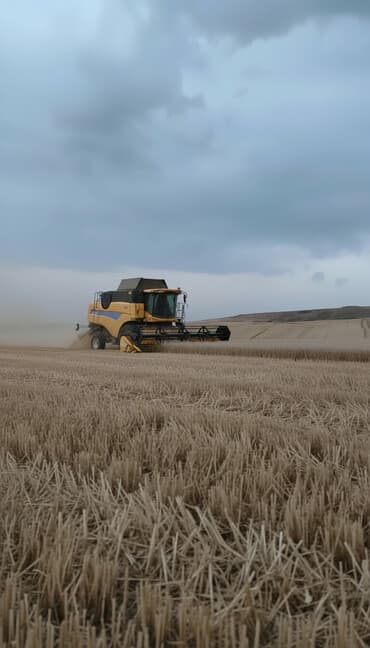 200 sot, Kənd təsərrüfatı, Kupça (Çıxarış), Bələdiyyə, Texniki pasport lalafo.az -da 200 sot, Kənd təsərrüfatı, Kupça (Çıxarış), Bələdiyyə, Texniki pasport