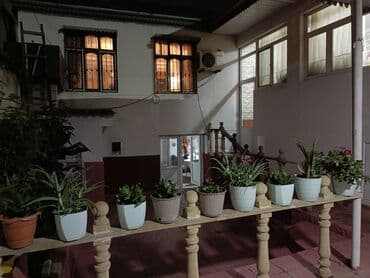 jasmin gülü: Həyətdə sevgi və qayğı ilə yetişdirilmiş müxtəlif dipçək gülləri — 4