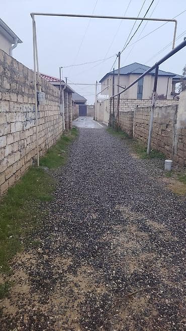 şeki: 7 sot, Mülkiyyətçi, Kupça (Çıxarış) — 2