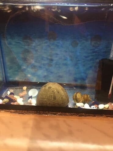 filtir: Аквариум 10 литров + помпа фильтр — 3