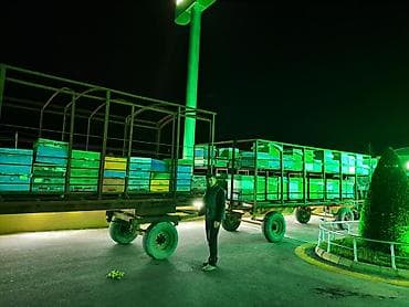 ana arı satışı: SALAM UN ALEYKUM ARI SATILIR.ARI DAŞIMAQ ÜÇÜN QOŞQU SATILIR TƏZƏ — 1