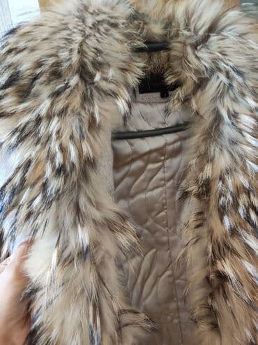 qaragüldən qadın şubaları: 450 manata alınıb 4 gün xaricdə geynilibdi.
Satılır manata.150 — 2