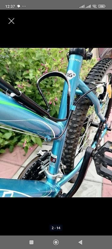 İdman velosipedləri: Stern dağ/şəhər tipli velosiped – 24" təkərlər, 16" ölçülü — 2