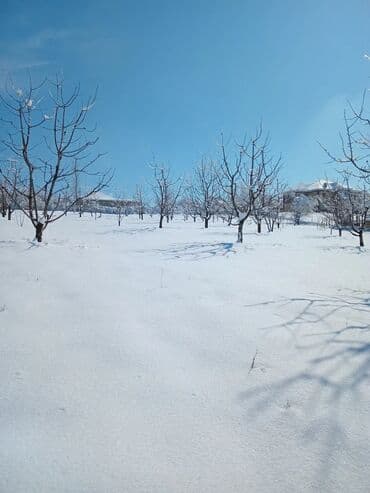 goycayda torpaq satılır: 10 sot, Kənd təsərrüfatı, Maklerlər narahat etməsin, Kupça (Çıxarış) — 3