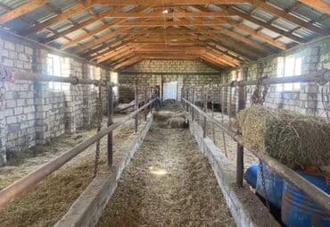 bina evləri bakı: 1500 sot, Kənd təsərrüfatı, Mülkiyyətçi, Kupça (Çıxarış) — 7