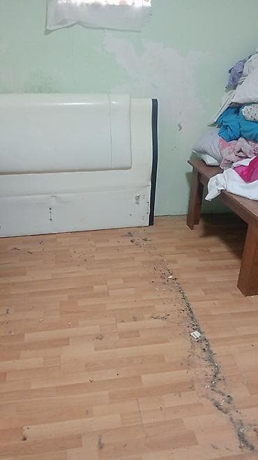 taxta satisi: İkinəfərlik çarpayı, Bazasız, Matras ilə, Siyirməsiz — 3