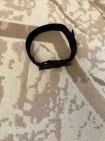 tutu quşu: Möhkəm taktiki it boyunluğu – qara rəng - Material: qalın, davamlı — 2