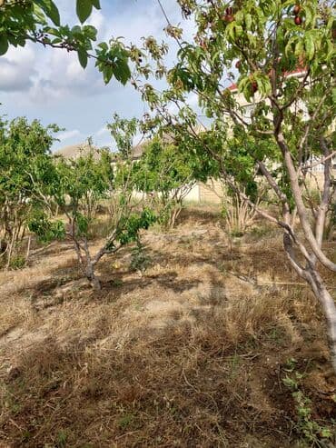 Kommersiya daşınmaz əmlakı: 23 sot, Biznes üçün, Mülkiyyətçi, Müqavilə — 4