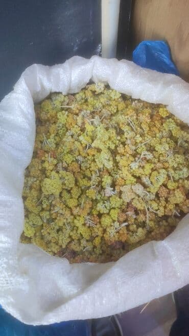 Digər bitkilər: Bütün növ yerli və xaricdən gəlmə bitkilərin topdan satışı Çərəz — 3