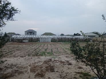 goradil torpaq satilir: Tikinti — 3