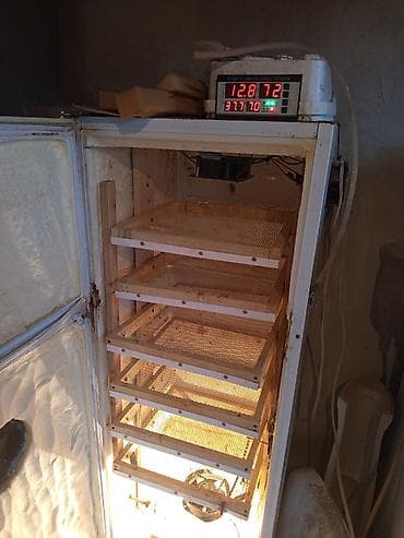 Kənd təssərüfatı avadanlığı: Bütün növ quşlaq üçün — 9