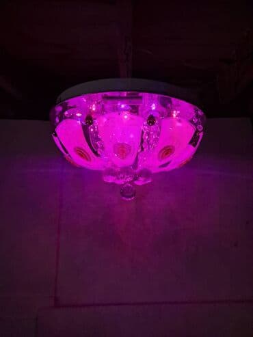 sumqayit gul sifarisi: Çılçıraq — 3