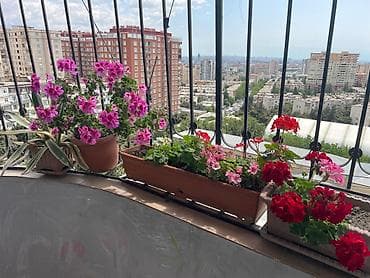 ev elanlari 2018: 9-ый микрорайон, 3 комнаты, Новостройка, м. 20 января, 125 м² — 10