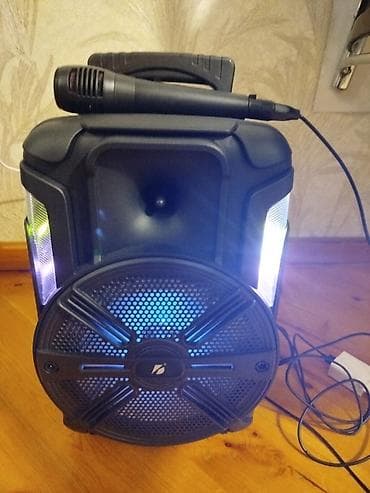 Daşına bilən Bluetooth akustik sistem + mikrafon - Güclü səsli lalafo.az -da Daşına bilən Bluetooth akustik sistem + mikrafon - Güclü səsli