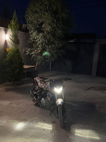 mma əlcəyi qiyməti: Zontes — 3