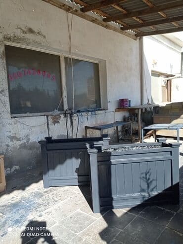 Digər bitkilər: Bir başa sexdən.Sex qiymətinə. ♦️Endrim 2025 il sonu ▶️İstenilən — 1