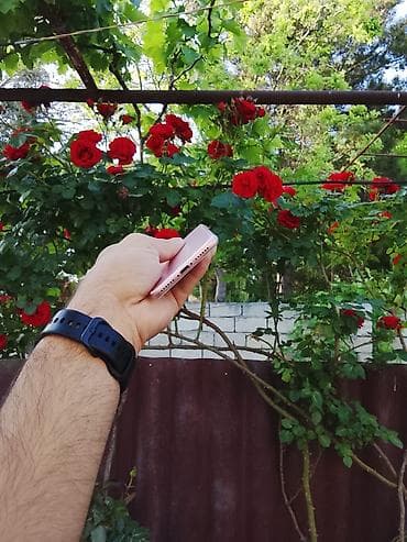 i̇phone 13 mini: IPhone 7, 32 GB, Rose Gold, Barmaq izi — 5