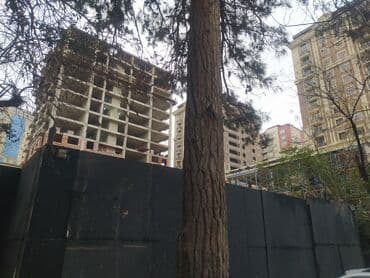 semkirde evler: 28 May, 1 otaqlı, Yeni tikili, m. 28 may, 38 kv. m — 7