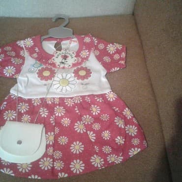 Don, Gündəlik, 9 - 12 ay