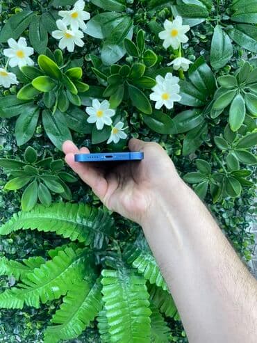 iphone 11 yigilma: IPhone 13, 128 GB, Göy, Simsiz şarj — 4