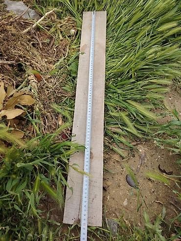 3×10 taxta qiymeti: Taxta 1000 ededdi ölçüsü uzunluğu 80sm eni 10sm qalınlığı 2.5 — 2