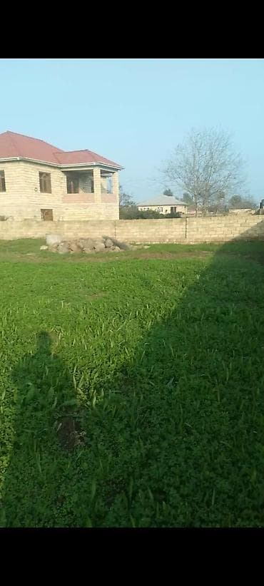 Torpaq: Tikinti — 3