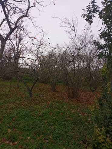 продажа и аренда домов: 4 комнаты, 110 м², Нет кредита, Без ремонта — 3