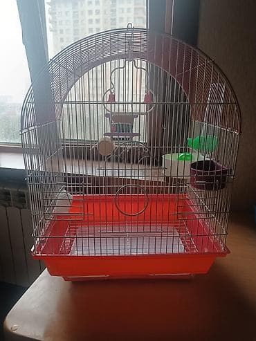 qus yuvasi satisi: Qəfəs.Cox səliqəli islənib.Təmizdi.Orta razmerdədi — 6