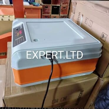 hinduska yumurtasi nece gune cixir: Expert şirkətinin rəsmi istehsalı olan, android-rejimli aparatların — 19