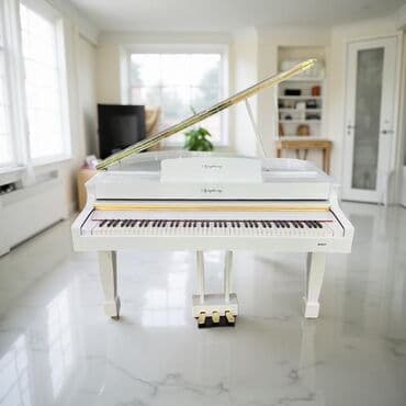 elektron piano baku: Symphony Royal Elektron Piano — 1