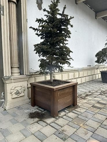 taxta bocka: Açıq məkana uyğun iri ölçülü taxta dekorativ güldan/qutu - Material — 2