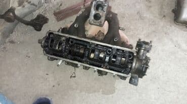 Kabrolar: Vaz099 qalofqası — 4