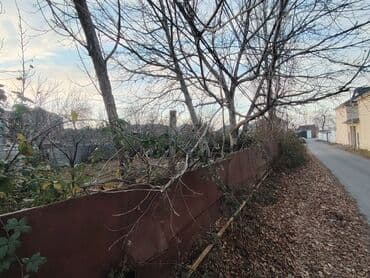 20 yanvar kiraye: 3 sot, Tikinti, Mülkiyyətçi, Kupça (Çıxarış) — 7