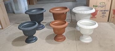 Digər bitkilər: Dibçək. Müxtəlif ölçü və modellər mövcuddur. Fərqli qiymətlərdədir — 11