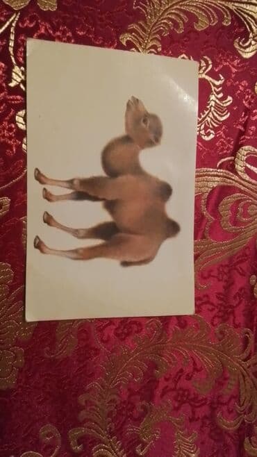 komedixana bilet 2025: OTKRITKA 1978 IL, kitablarda satilir — 3