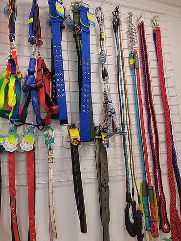 Digər heyvanlar: İt və pişiklər üçün müxtəlif ölçüdə və rəngdə xalta, aşennik, şleyka — 3