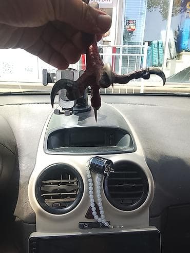 toy dekor: Məhsul: Avtomobil üçün asılqan – qurudulmuş quş pəncəsi aksesuarı — 2