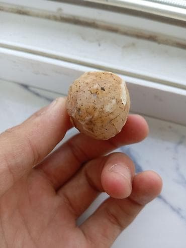 payız dekoru: Təbii çınqıl/daş nümunəsi - Material: kvars tipli təbii daş — 1