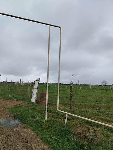 kənd: Kənd təsərrüfatı — 2